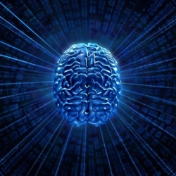 Brain Transceiver